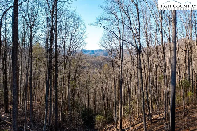 $685,000 | 703 Powder Horn Estates Drive, Deep Gap, NC 28618