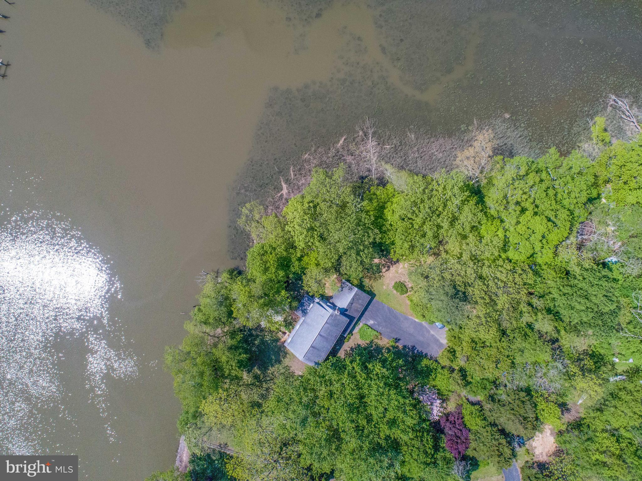 39 Mockingbird Lane Earleville, MD 21919 - Photo 11 of 23 Really high up!