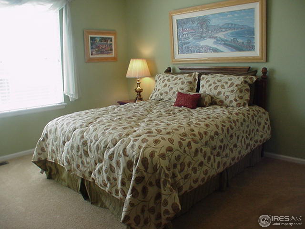 10569 Redcone Way Highlands Ranch, CO 80130 - Photo 9 of 12 Bedroom