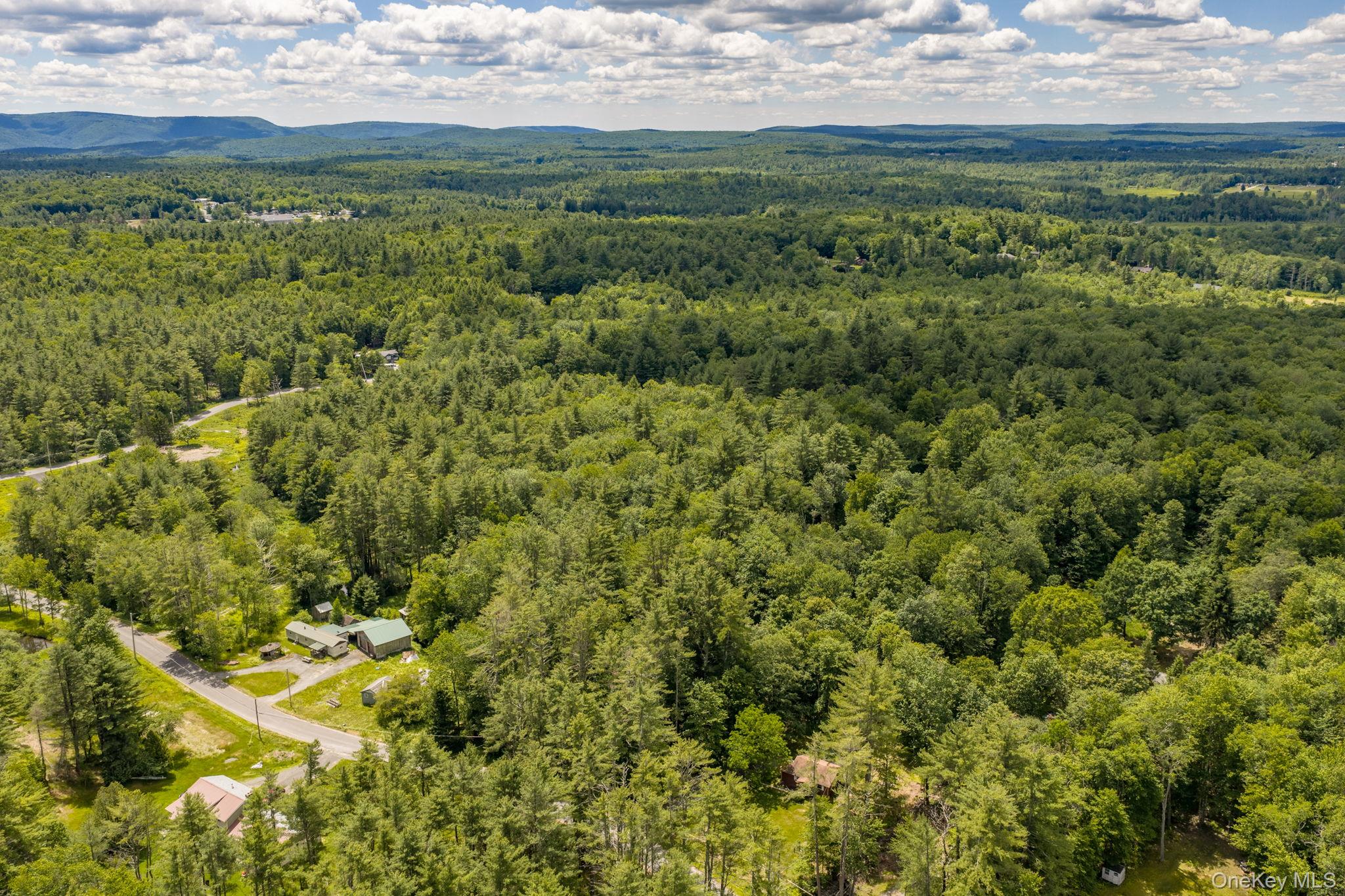 570 Brown Road Ellenville, NY 12428 - Photo 26 of 33