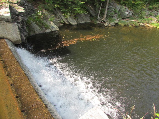 5061 Old County Road Halifax, VT 05301 - Photo 22 of 27