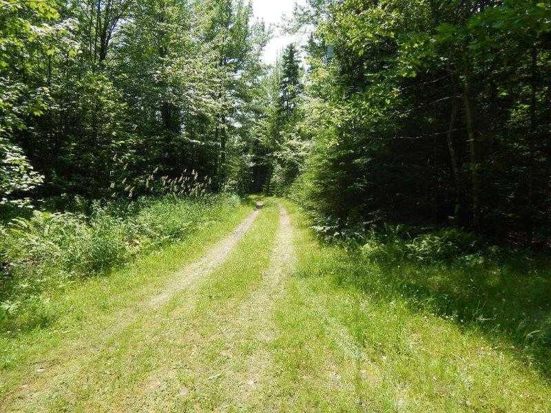 27 Nolan Road Holden, ME 04429 - Photo 19 of 33 Land/Lot. Driveway