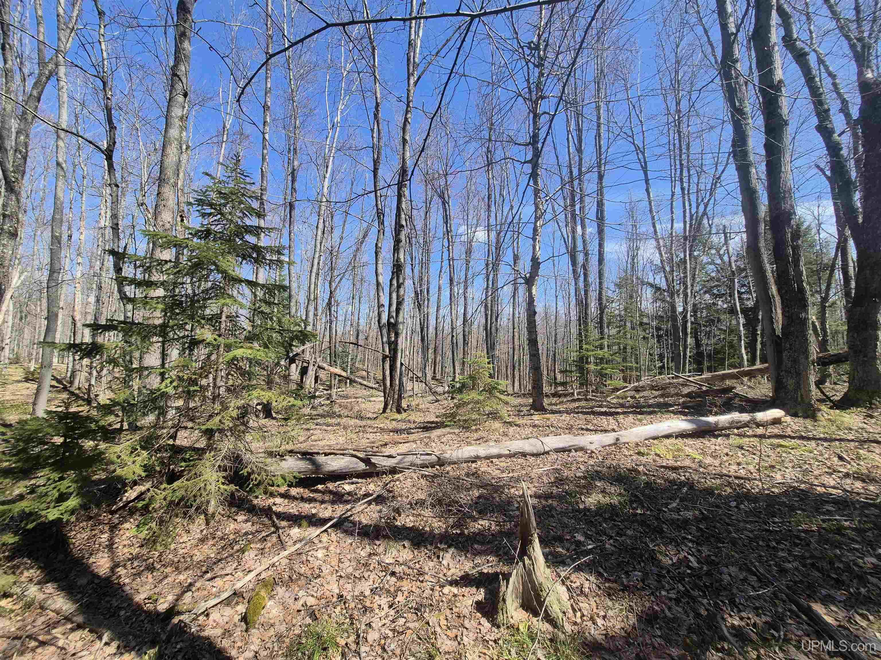 12-acres Salmon Road L'Anse, MI 49946 - Photo 17 of 39