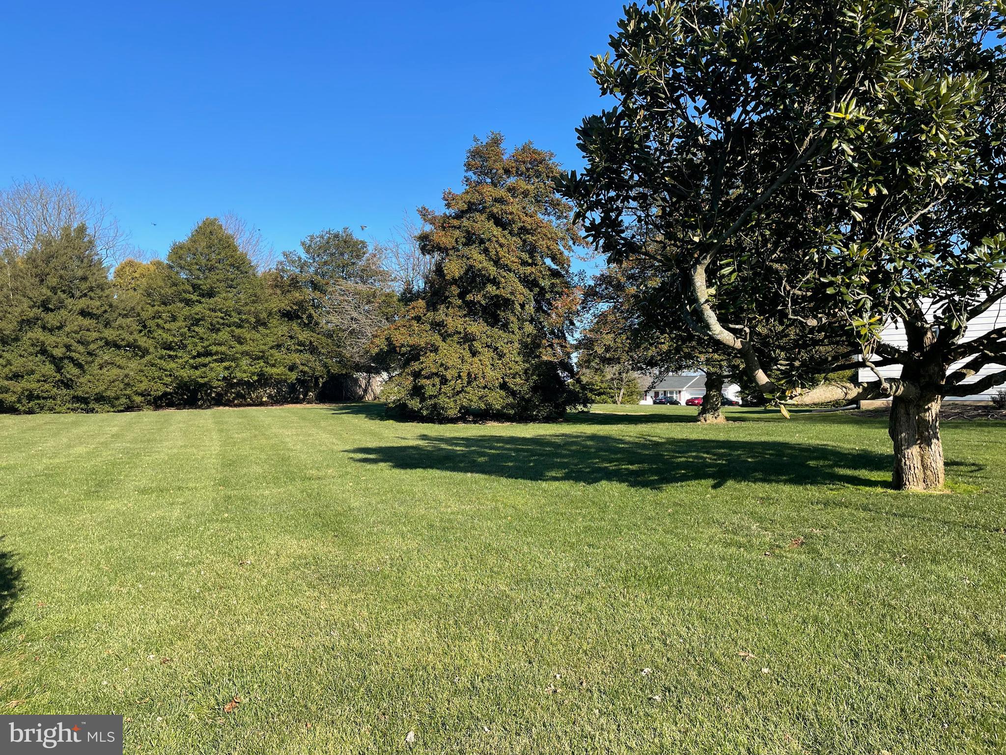 2411 Appleton Road Elkton, MD 21921 - Photo 8 of 35 Large side yard & beautiful holly tree