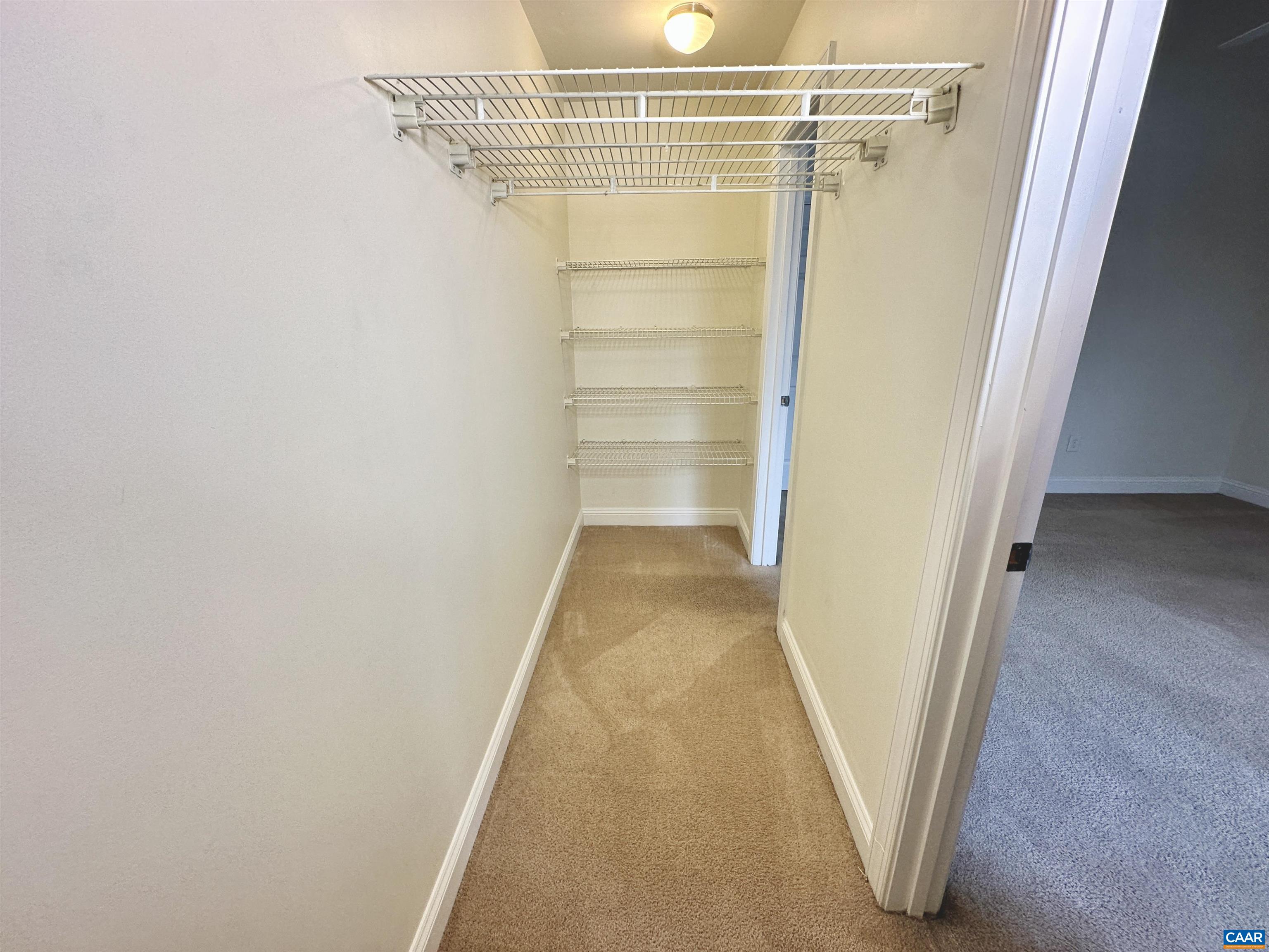 139 Green Turtle Lane, Unit 10 Charlottesville, VA 22901 - Photo 19 of 26 Bedroom walk-in closet