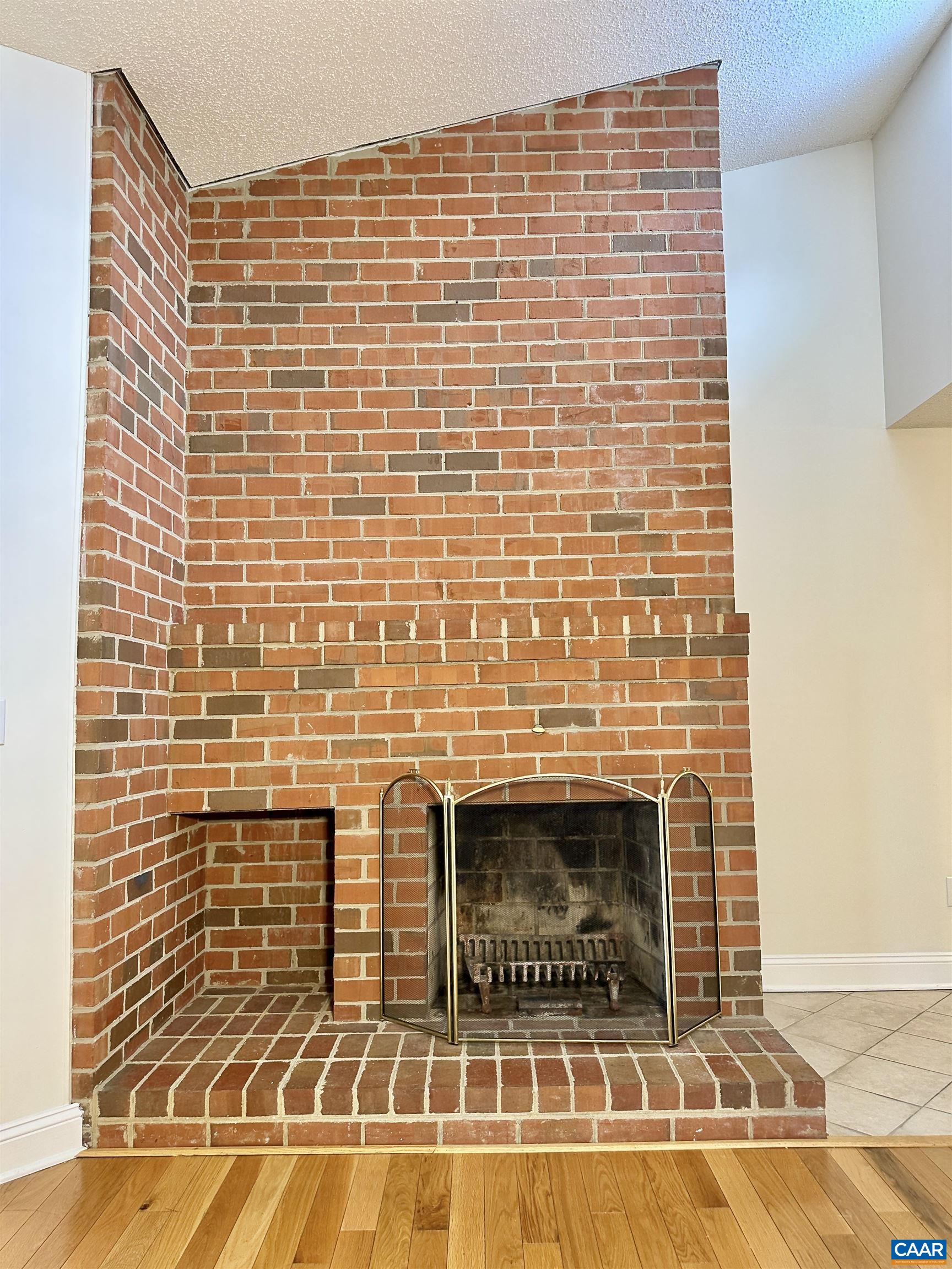 139 Green Turtle Lane, Unit 10 Charlottesville, VA 22901 - Photo 4 of 26 Wood-burning fireplace
