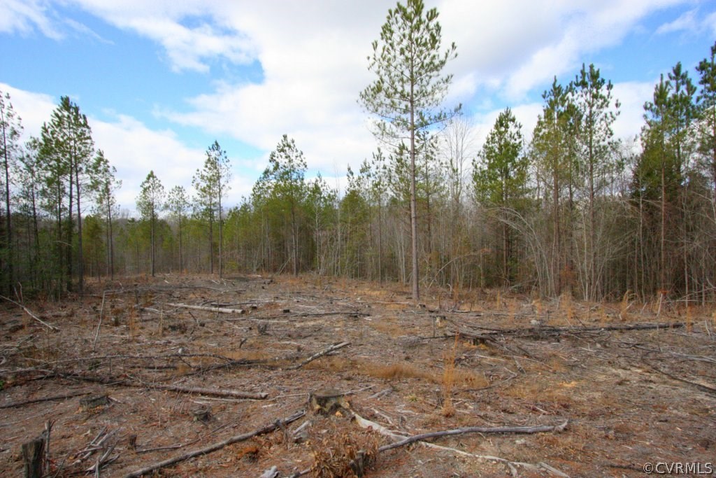 Lot 4 Clayton Road Powhatan, VA 23139 - Photo 1 of 8 Private home site already cleared!