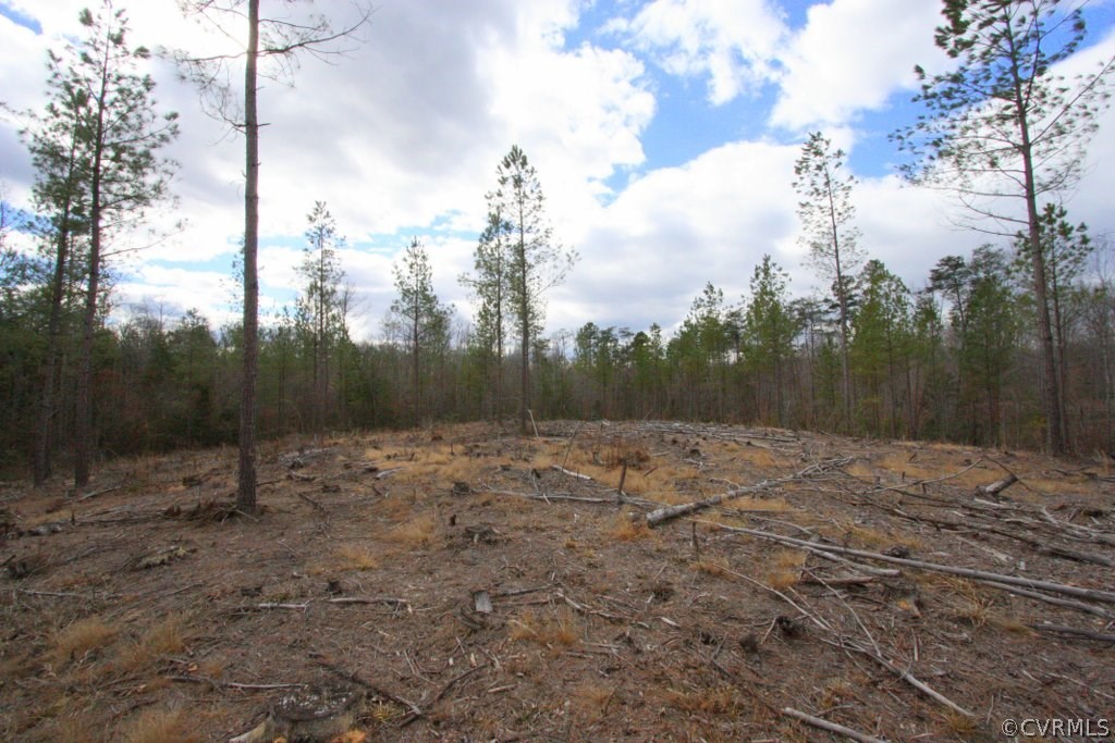 Lot 4 Clayton Road Powhatan, VA 23139 - Photo 2 of 8 Private home site already cleared!