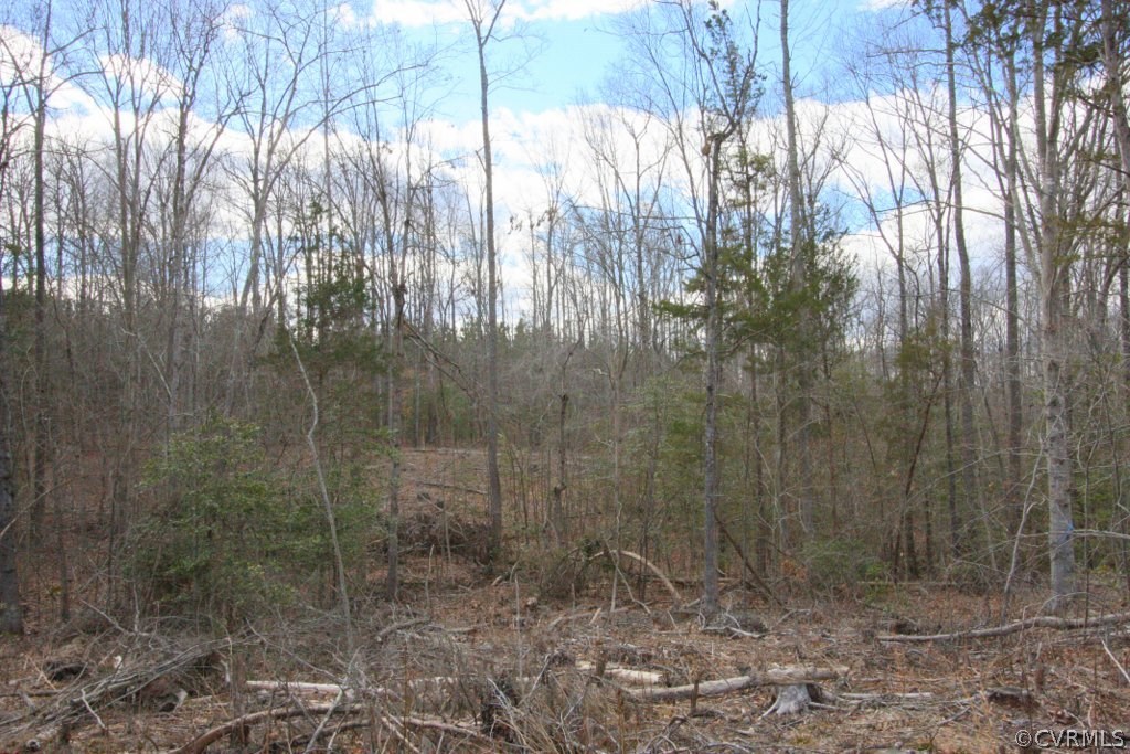 Lot 4 Clayton Road Powhatan, VA 23139 - Photo 3 of 8 Gallery Image 3