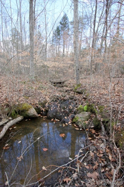 Lot 4 Clayton Road Powhatan, VA 23139 - Photo 4 of 8 There's a creek that runs through the property att