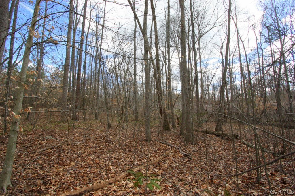Lot 4 Clayton Road Powhatan, VA 23139 - Photo 5 of 8 Gallery Image 5