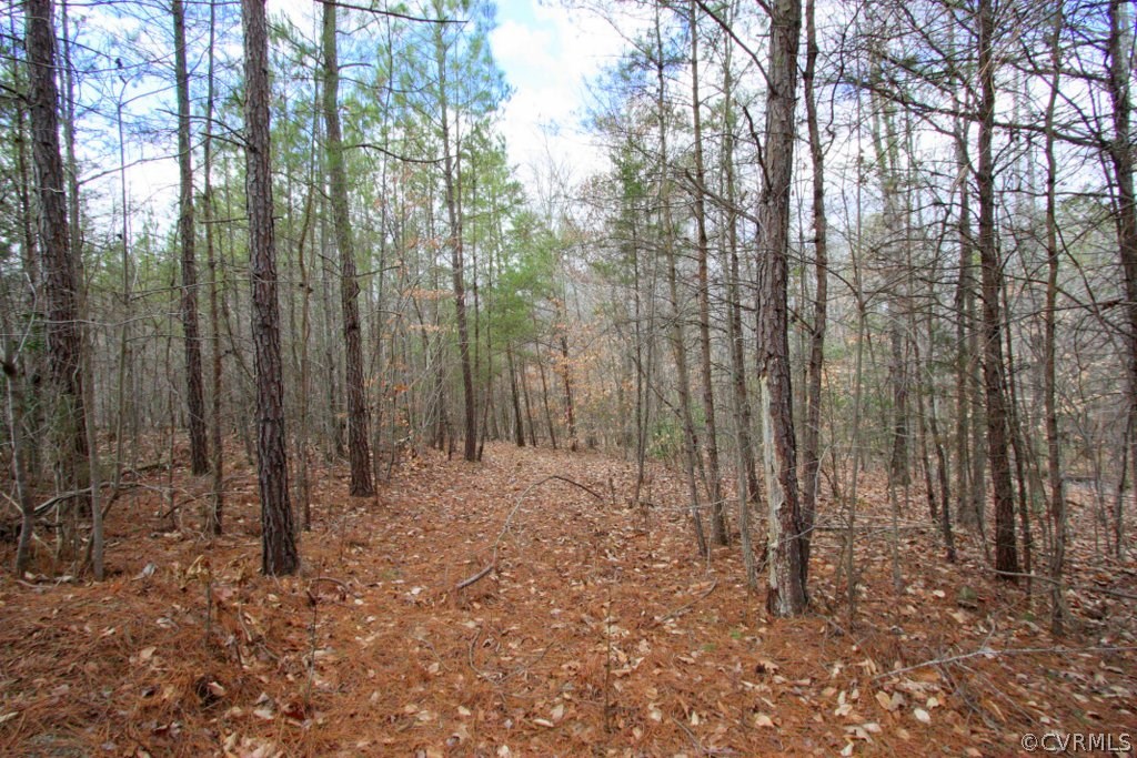 Lot 4 Clayton Road Powhatan, VA 23139 - Photo 6 of 8 Gallery Image 6