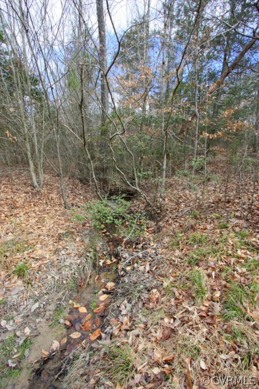 Lot 4 Clayton Road Powhatan, VA 23139 - Photo 7 of 8 Gallery Image 7