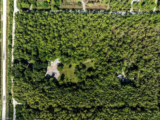 a view of a bunch of trees and bushes