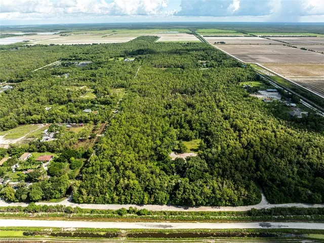 a view of a green field
