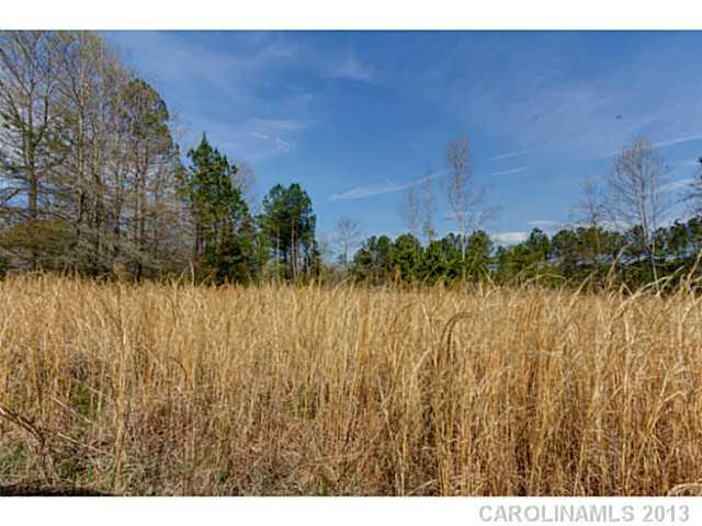 8506 Simpson Road Waxhaw, NC 28173 - Photo 8 of 10 Gallery Image 8