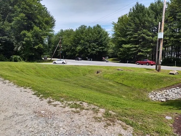 a view of a park with large trees