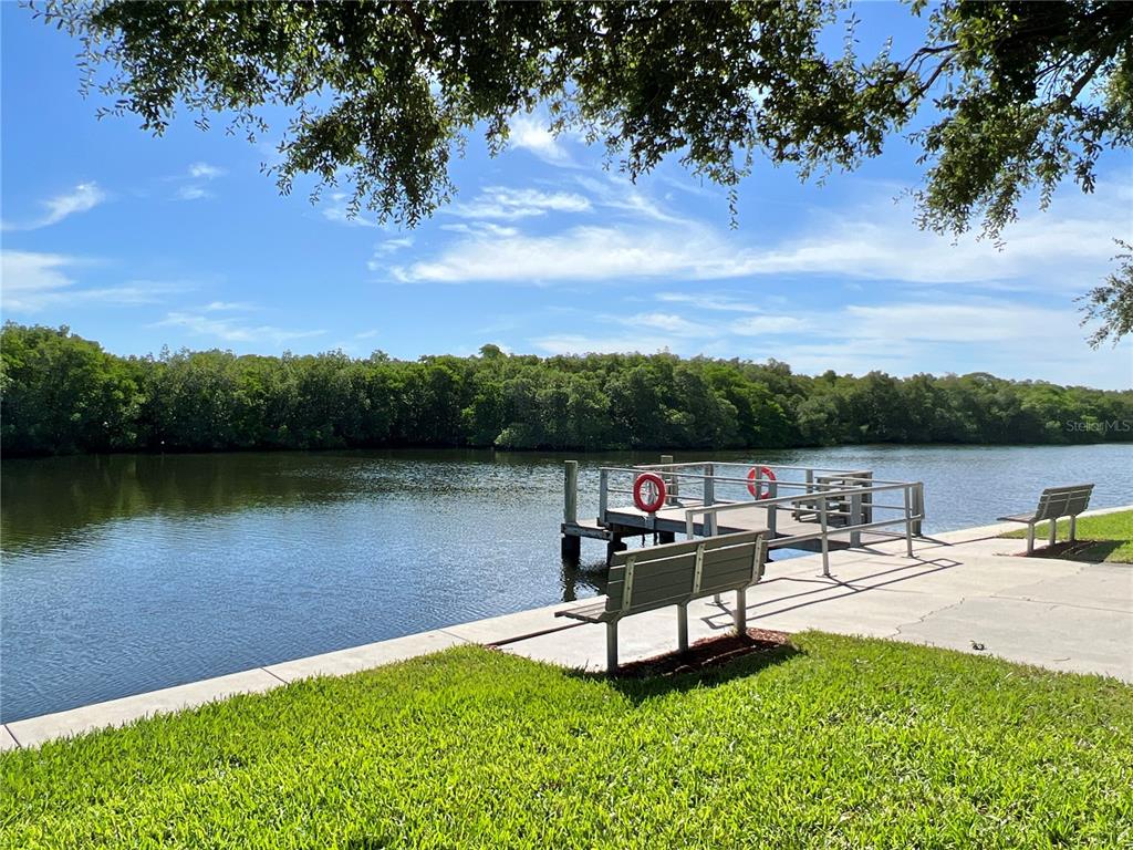 6803 Mt Pleasant Road Northeast, Unit 33 St. Petersburg, FL 33702 - Photo 23 of 28 a swimming pool with outdoor seating and lake