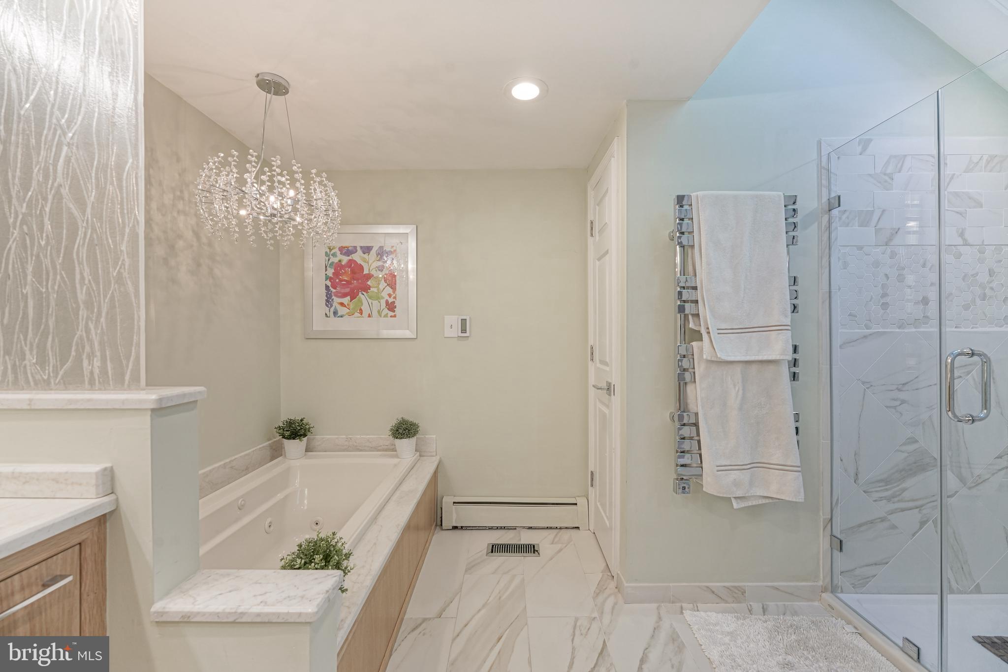 53 Cooper Tomlinson Road Medford, NJ 08055 - Photo 44 of 77 Lux Master Bath