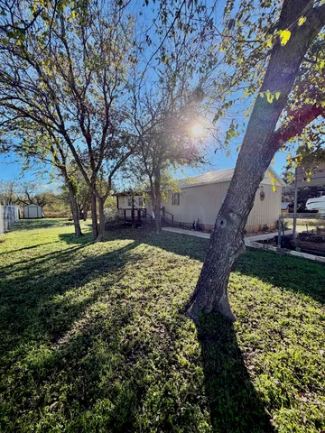 a view of yard with tree