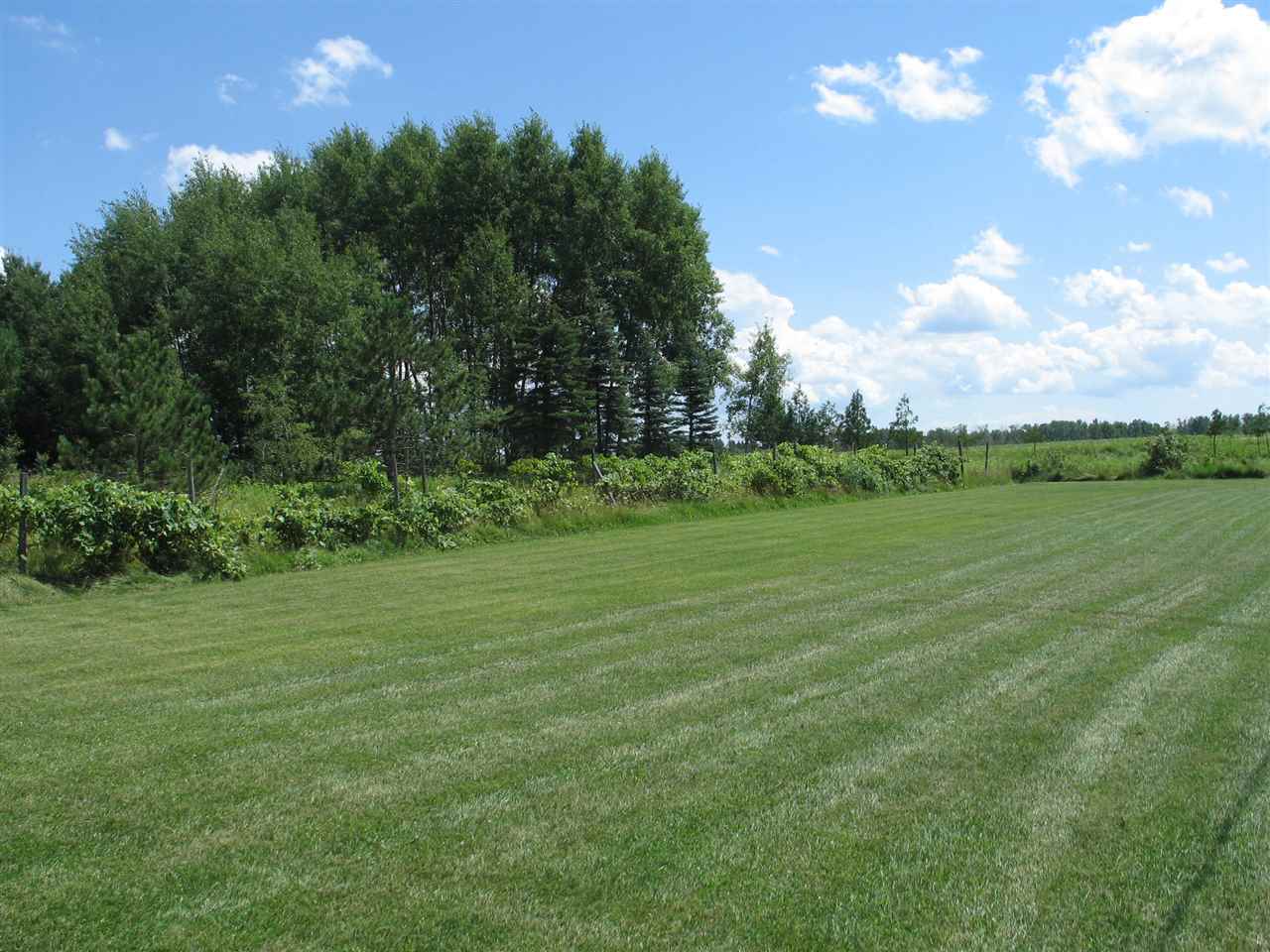 7624 West Esmond Road Hale, MI 48739 - Photo 19 of 41 1865342-18.JPG