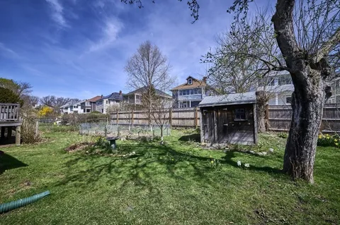 a view of a yard with plants and a large tree