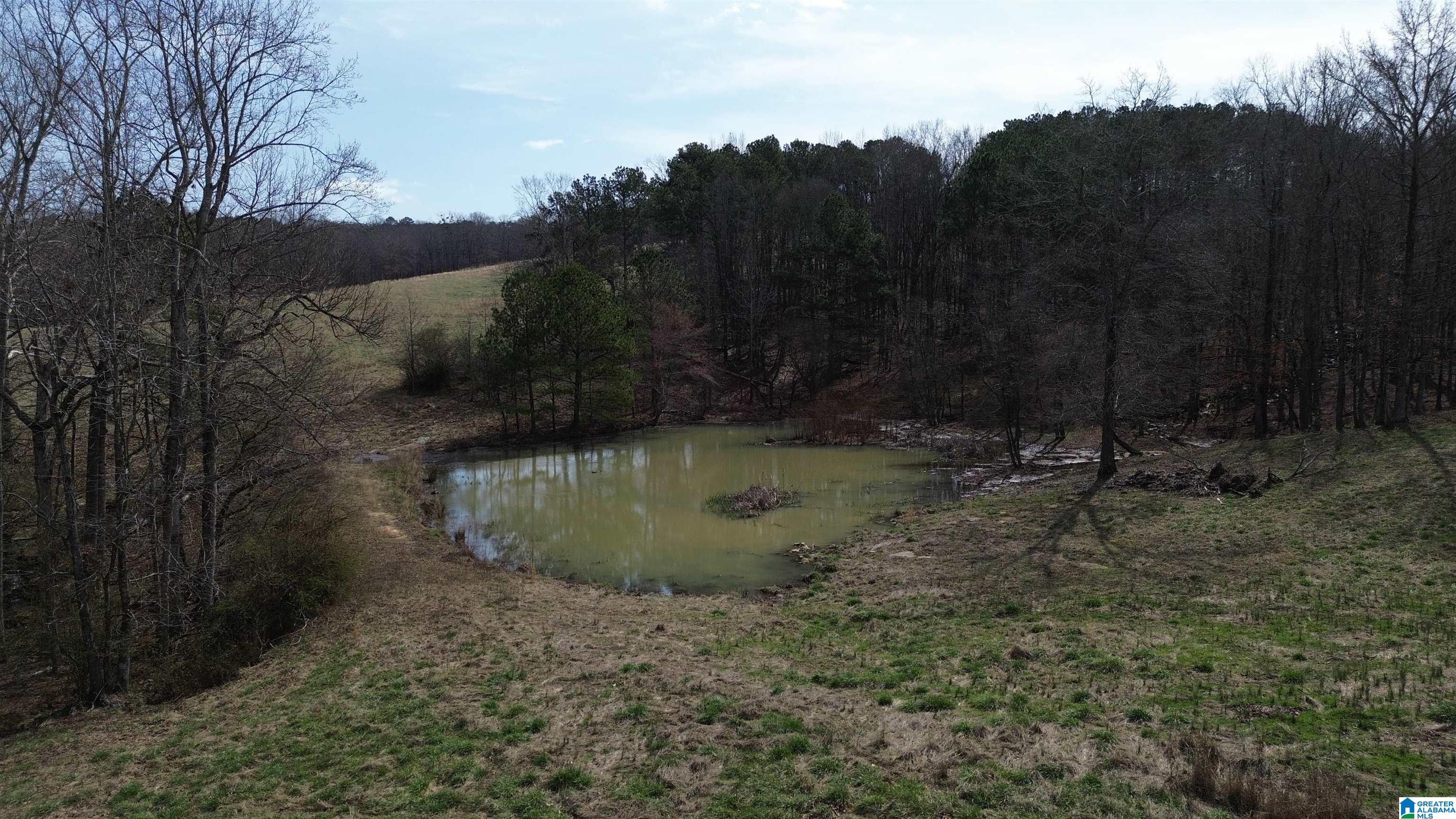1404 Burton Loop Road, Unit 1404 Altoona, AL 35952 - Photo 7 of 7