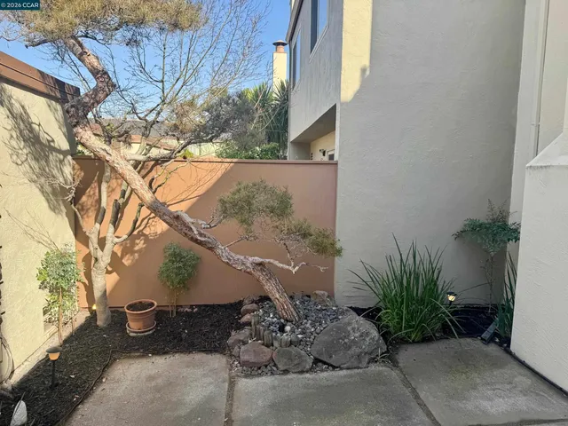 a view of a house with a yard and potted plants