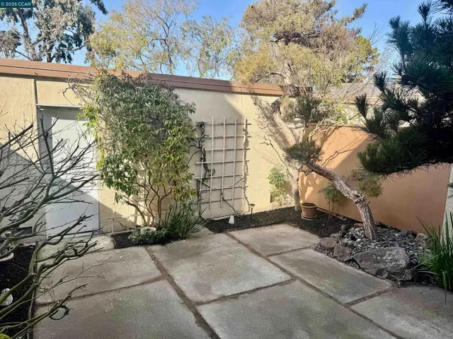 a view of a yard with plants and trees