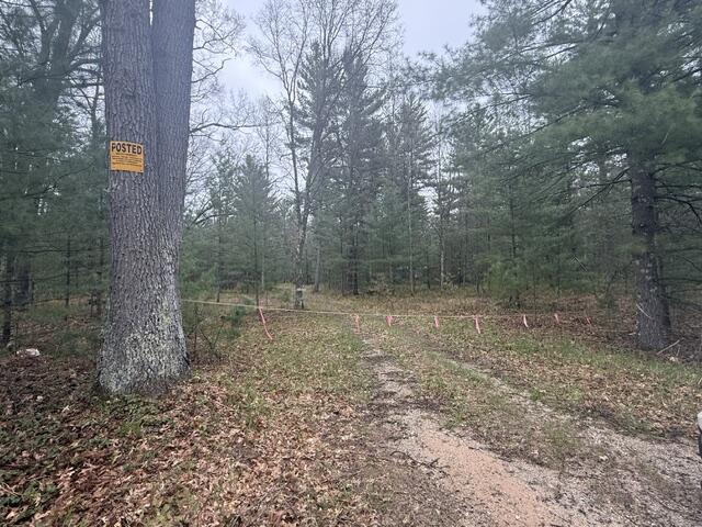Vl East Free Soil Road Free Soil, MI 49411 - Photo 4 of 4