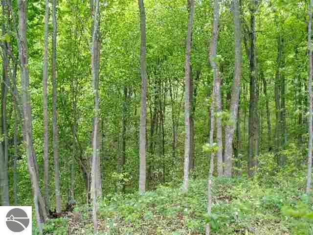 A/b/c Carlisle Road Traverse City, MI 49686 - Photo 1 of 6