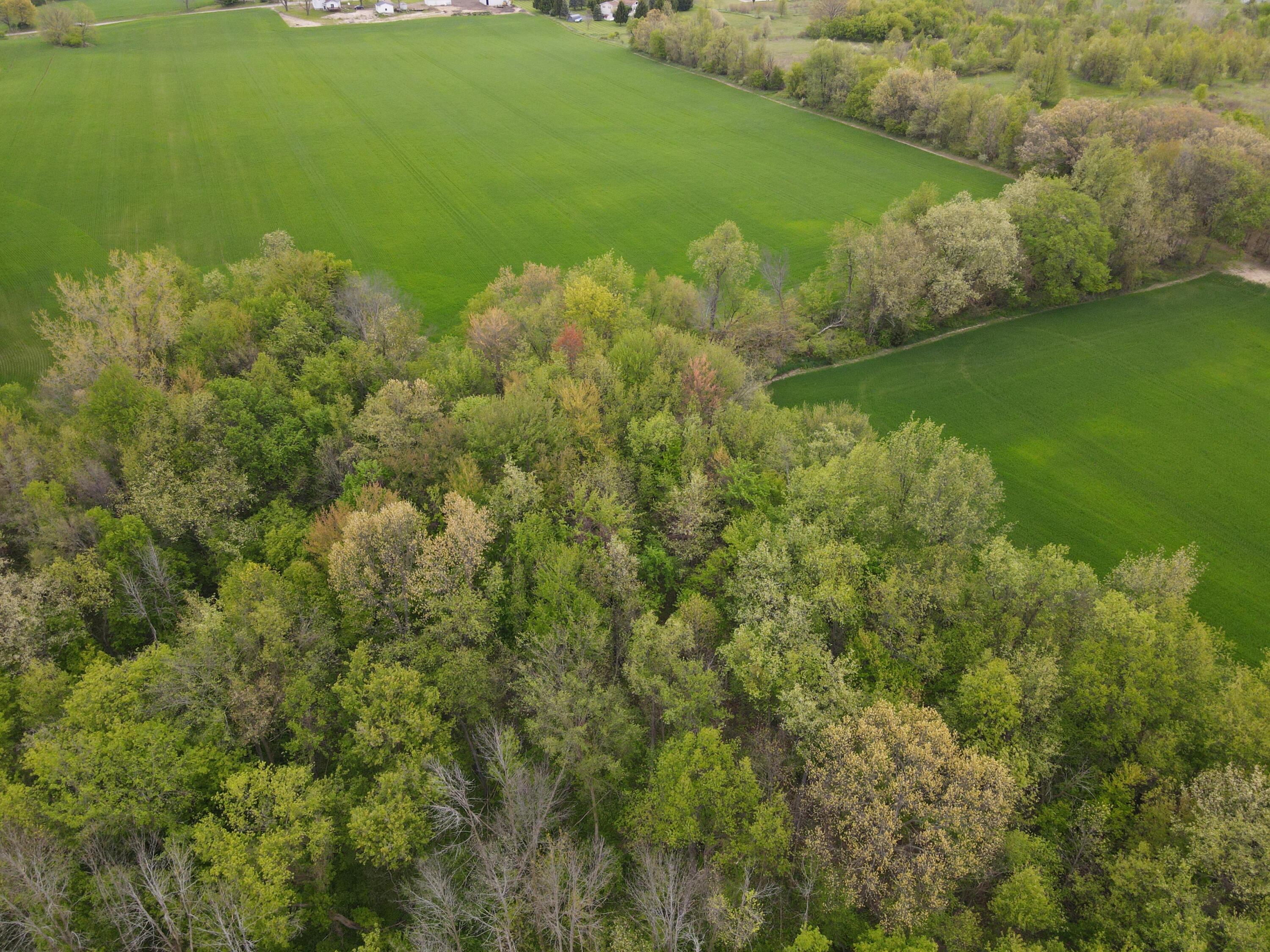 0 East Howe Road Dewitt, MI 48820 - Photo 45 of 54 DJI_0624