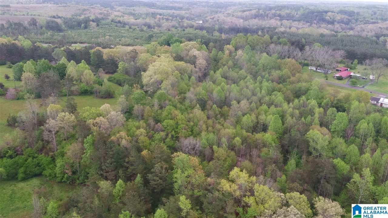 0 Dime Road, Unit 1 20 Haleyville, AL 35565 - Photo 12 of 14