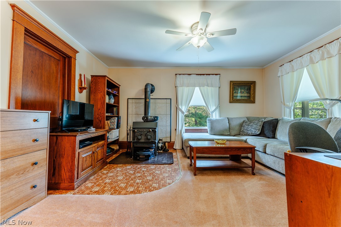 2483 Steiner Road Creston, OH 44217 - Photo 23 of 45
