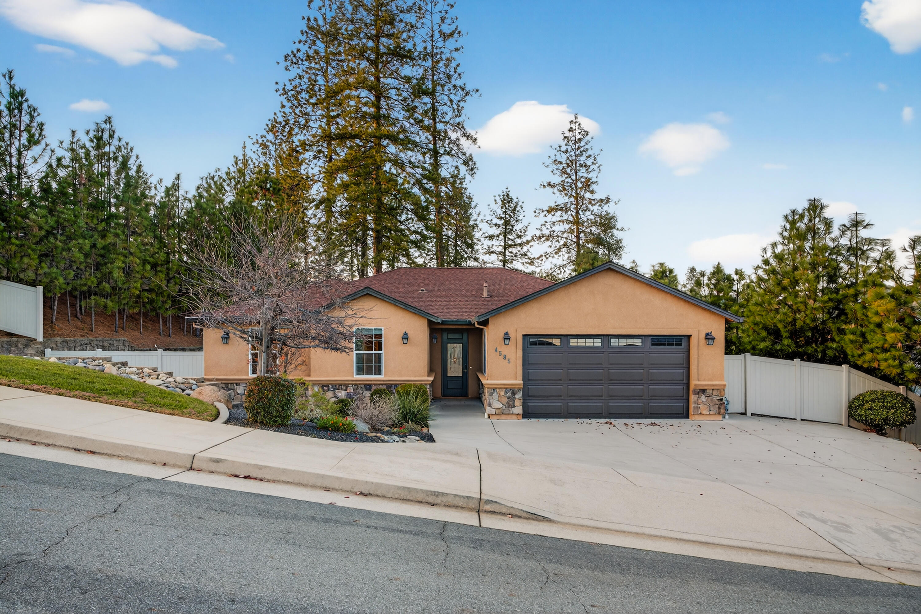 a view of a house with a yard plants and a large tree