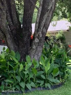 $155,000 | 1030 Adkins Boulevard, Jackson, MS 39211