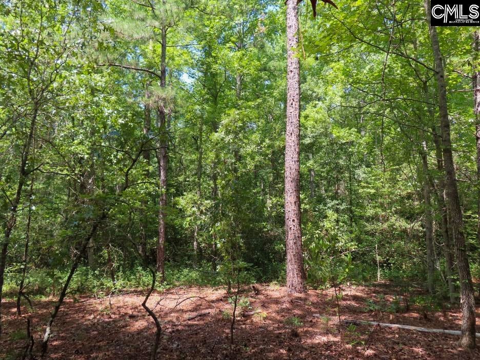 3915 Old Georgetown Road West Kershaw, SC 29067 - Photo 49 of 64 Gallery Image 49