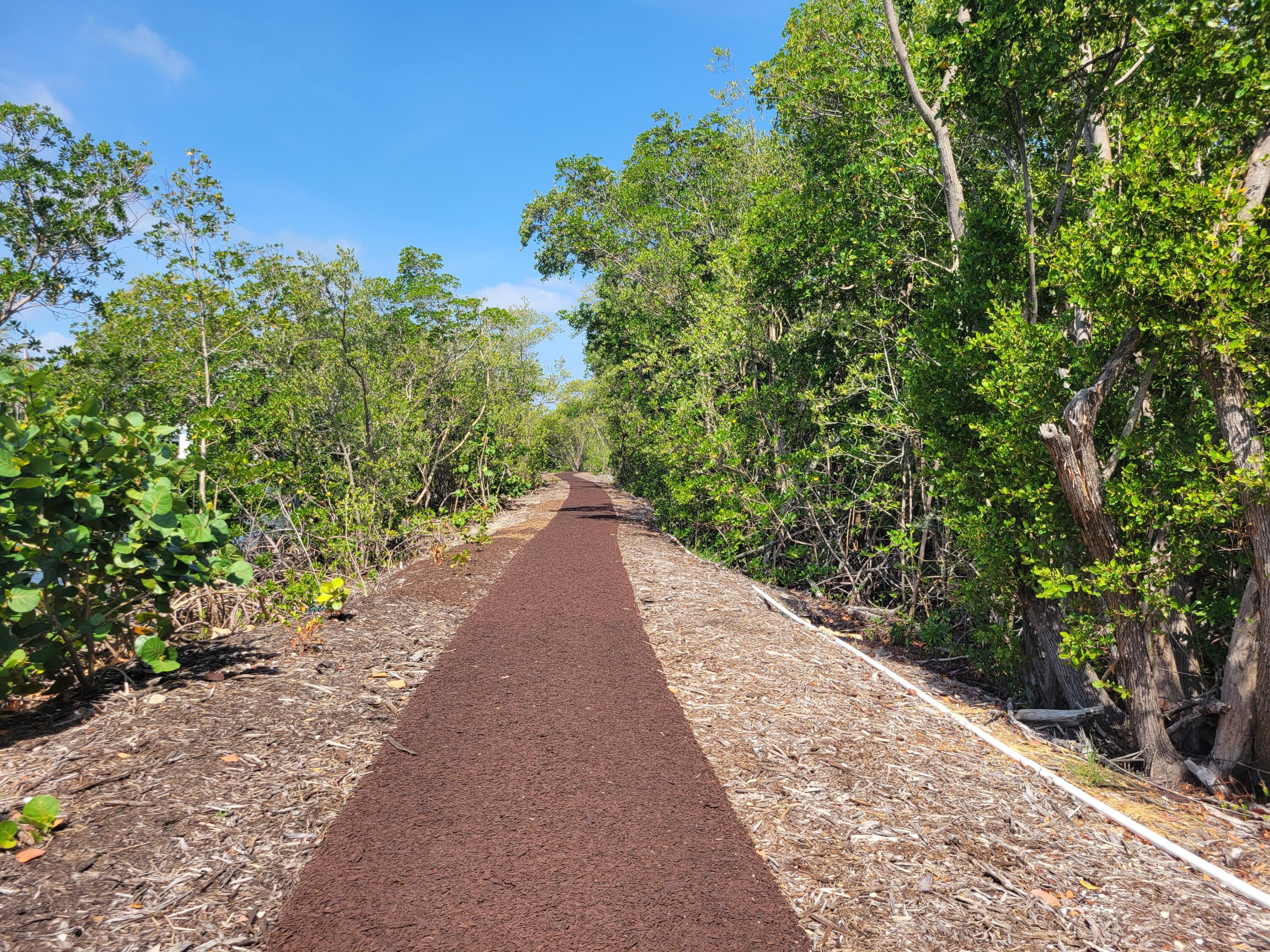 Undisclosed Address Boca Raton, FL 33432 - Photo 22 of 23 40_Boardwalk12