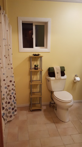 15707 West Arsenal Road Manhattan, IL 60442 - Photo 8 of 24