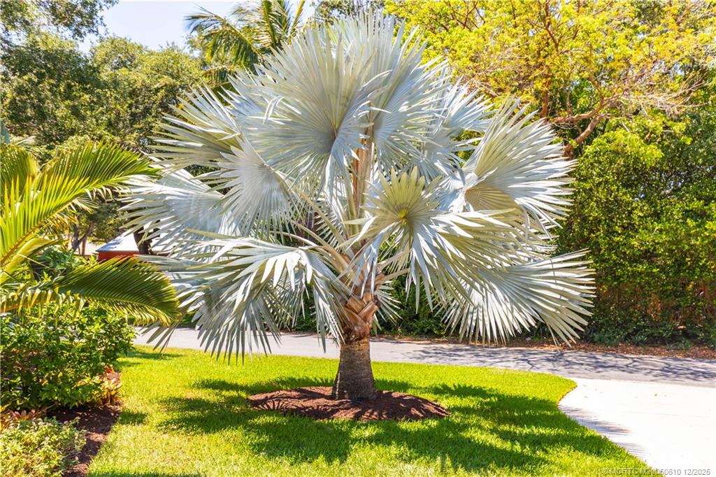 8 Kingston Court Stuart, FL 34996 - Photo 4 of 51 a view of swimming pool with a yard