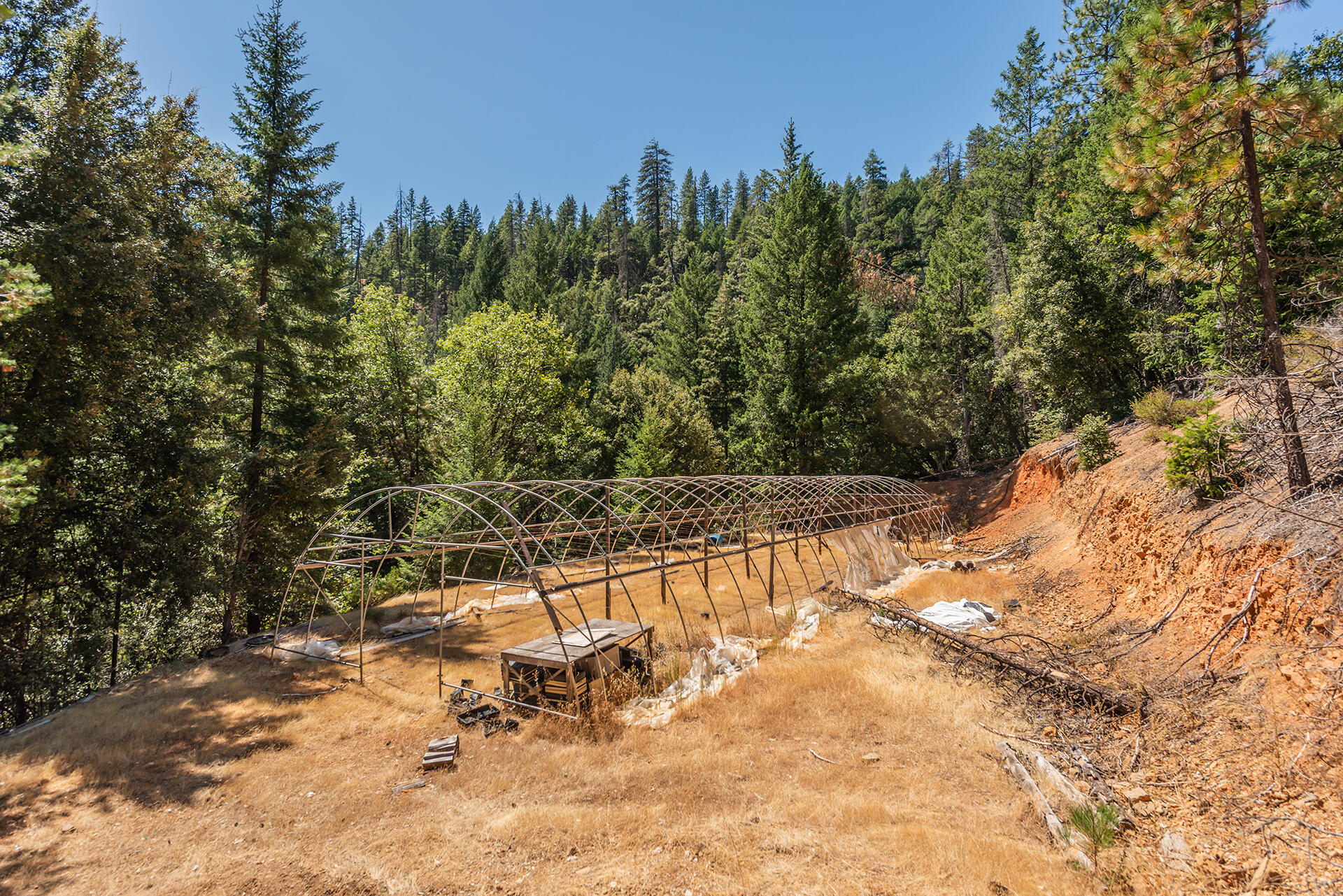 1511 Upper Moore Gulch Road Trinity Center, CA 96091 - Photo 54 of 62 DSC_6732