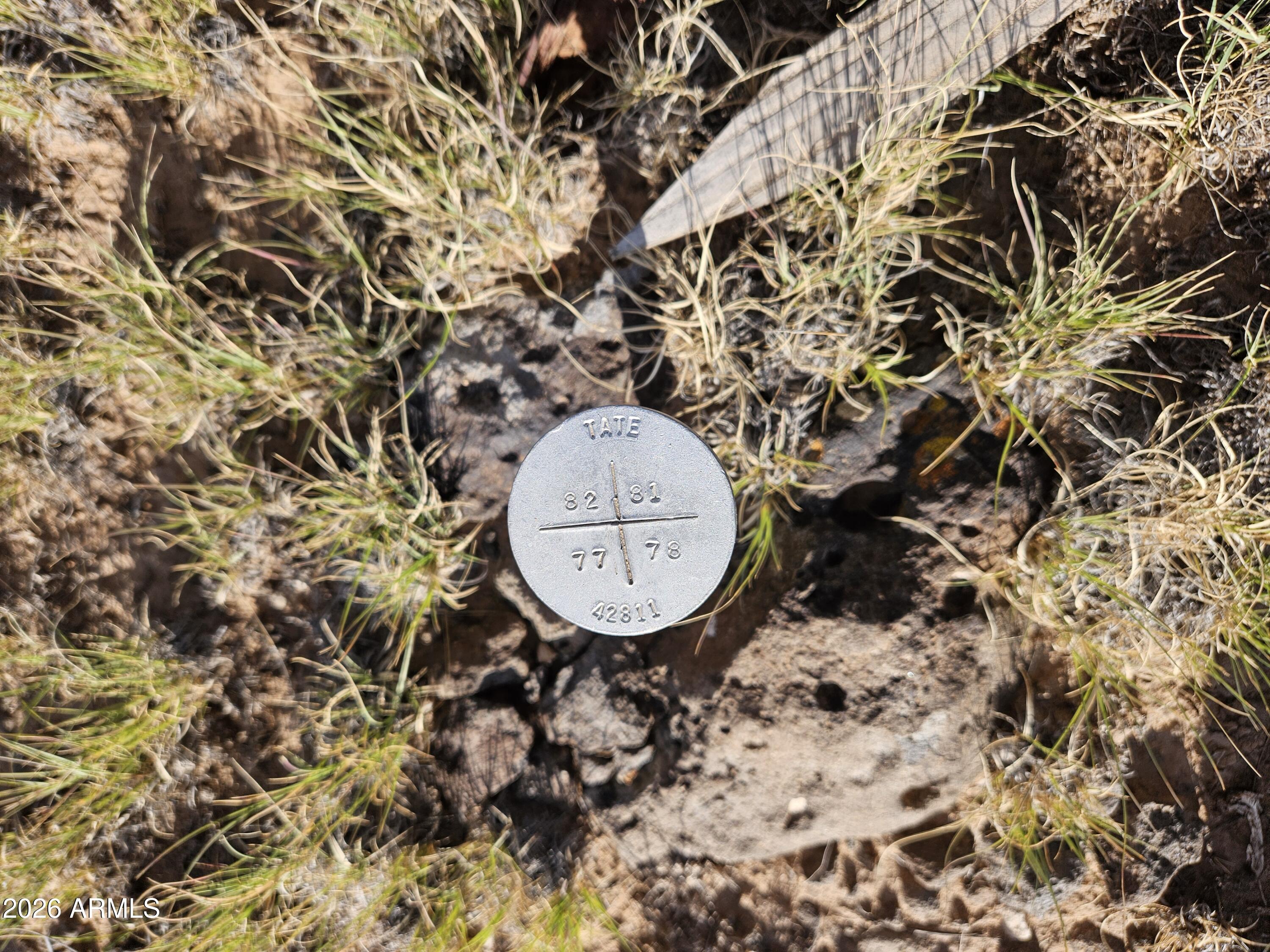 8620 St Concho Az 85924, Unit 81 Snowflake, AZ 85937 - Photo 12 of 12 wooden floor with a pot
