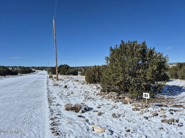 a view of a dry yard with a tree