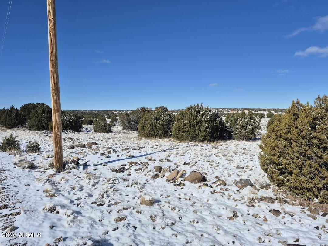 8620 St Concho Az 85924, Unit 81 Snowflake, AZ 85937 - Photo 8 of 12 a view of a dry yard with a tree