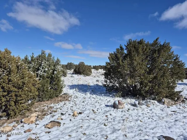 a view of a yard with wooden fence