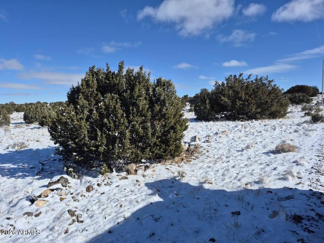 8620 St Concho Az 85924, Unit 81 Snowflake, AZ 85937 - Photo 10 of 12 a view of a yard with wooden fence