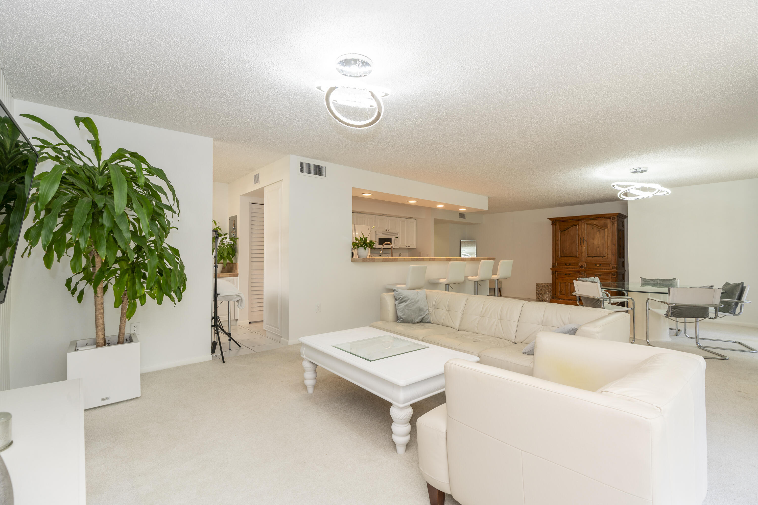 106 Half Moon Circle, Unit H2 Hypoluxo, FL 33462 - Photo 16 of 70 a living room with furniture and a potted plant
