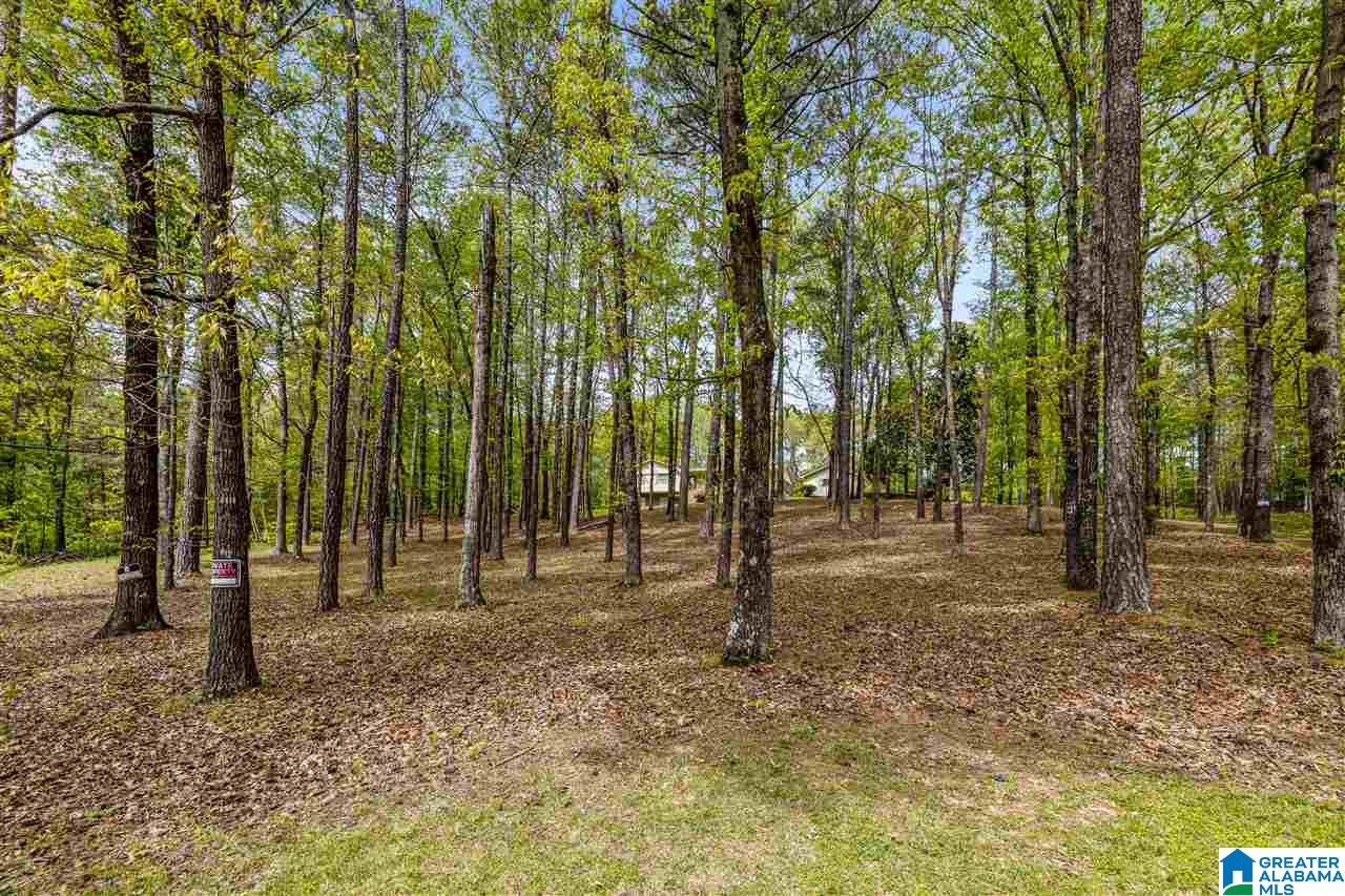 2620 Acton Road Birmingham, AL 35243 - Photo 45 of 45