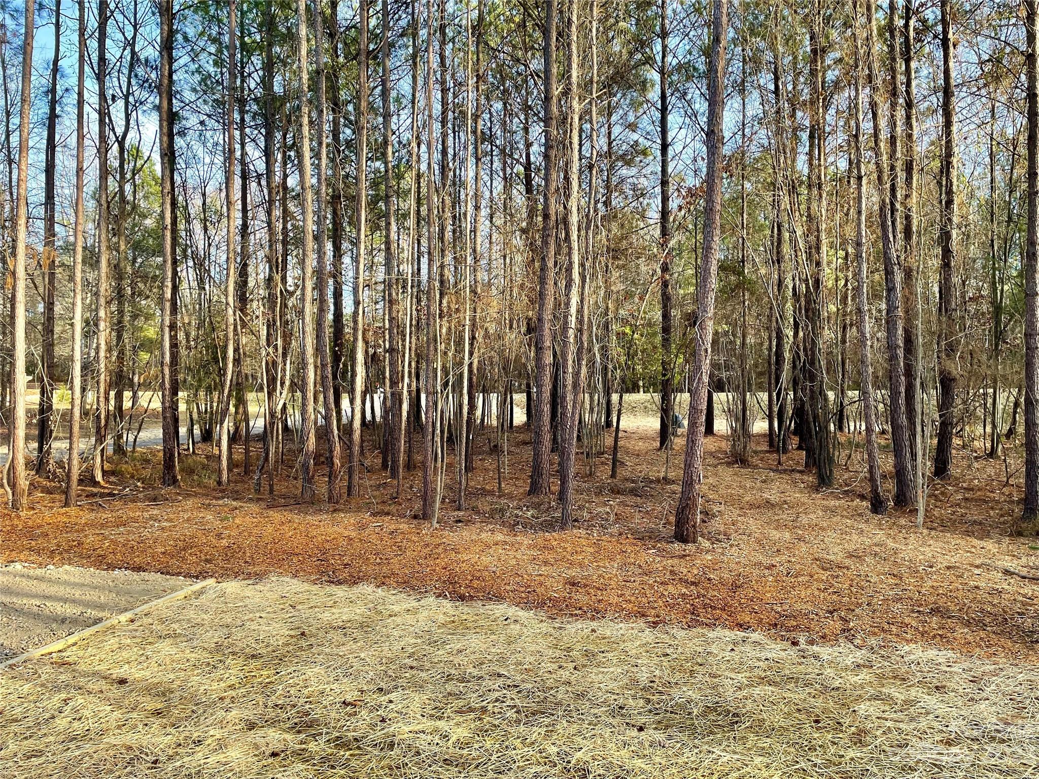 2053 Hopewell Church Road Blackstock, SC 29014 - Photo 6 of 26 Gallery Image 6