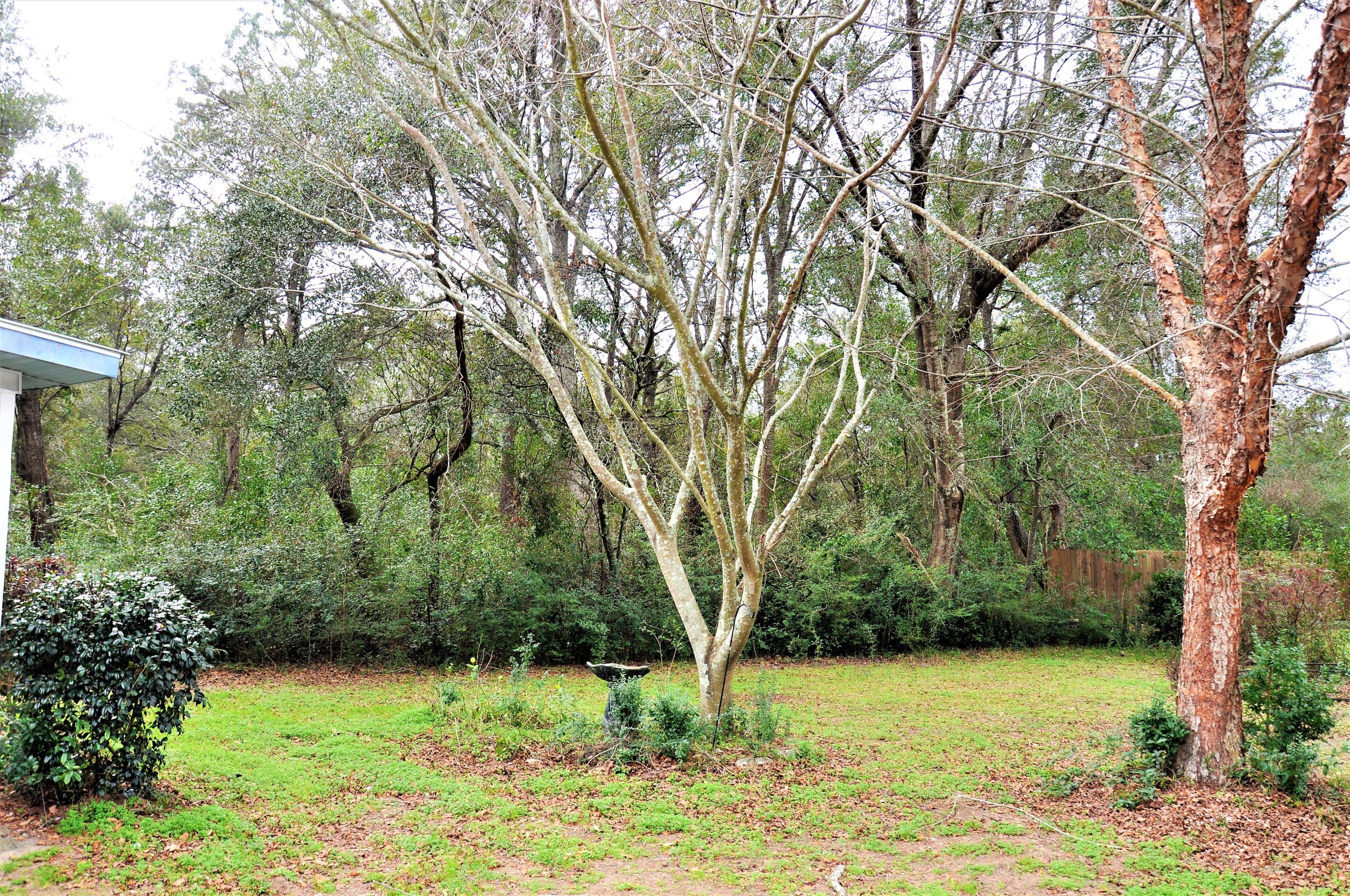 1129 Sigsbee Road Charleston, SC 29412 - Photo 4 of 34 DSC_1272 (2)
